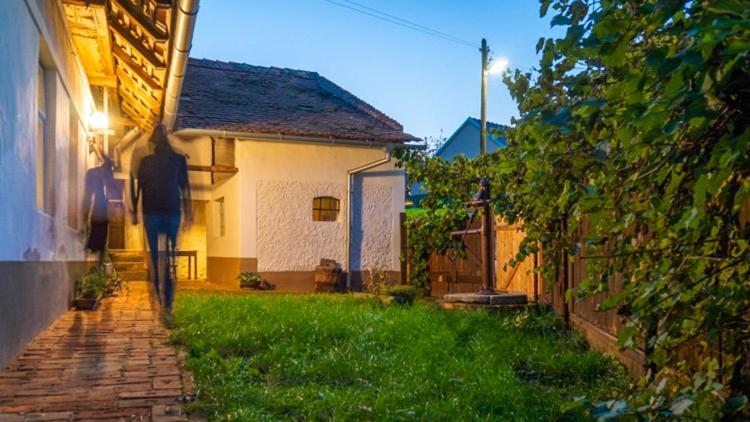 Cejkovicky Domek Cejkovice  Dış mekan fotoğraf